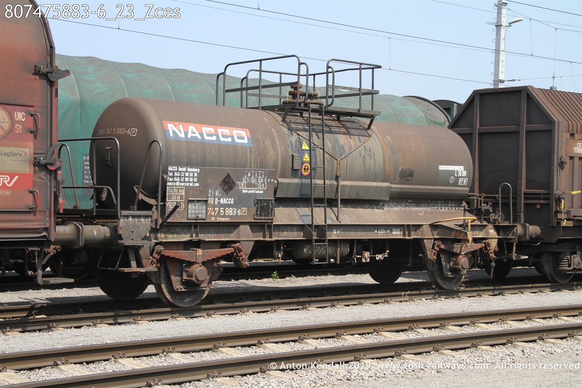 807475883-6_23_Zces.JPG